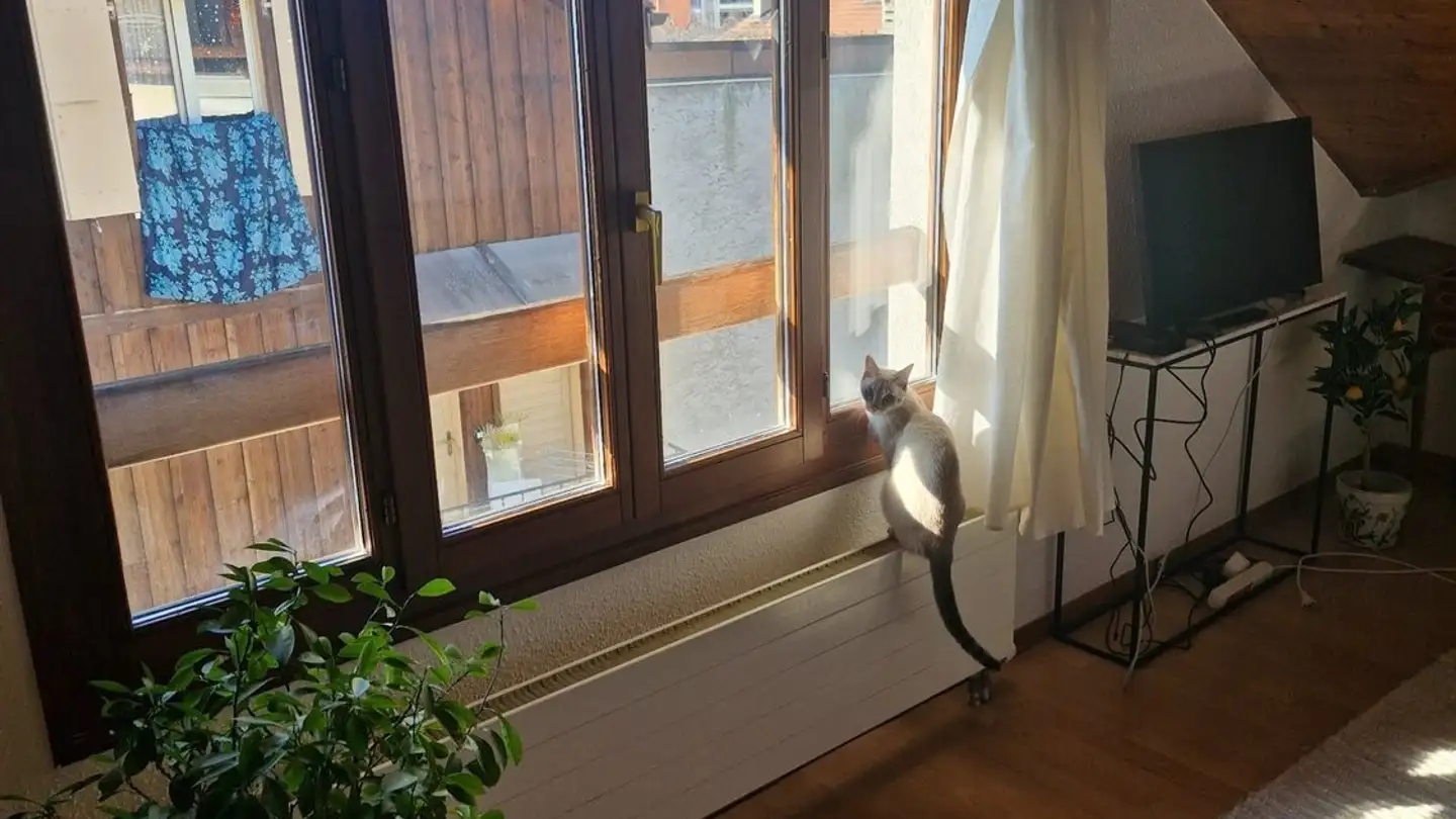 Appartement à louer - Rue Du Gothard 18a, 1225 Chêne-Bourg - Photo 2