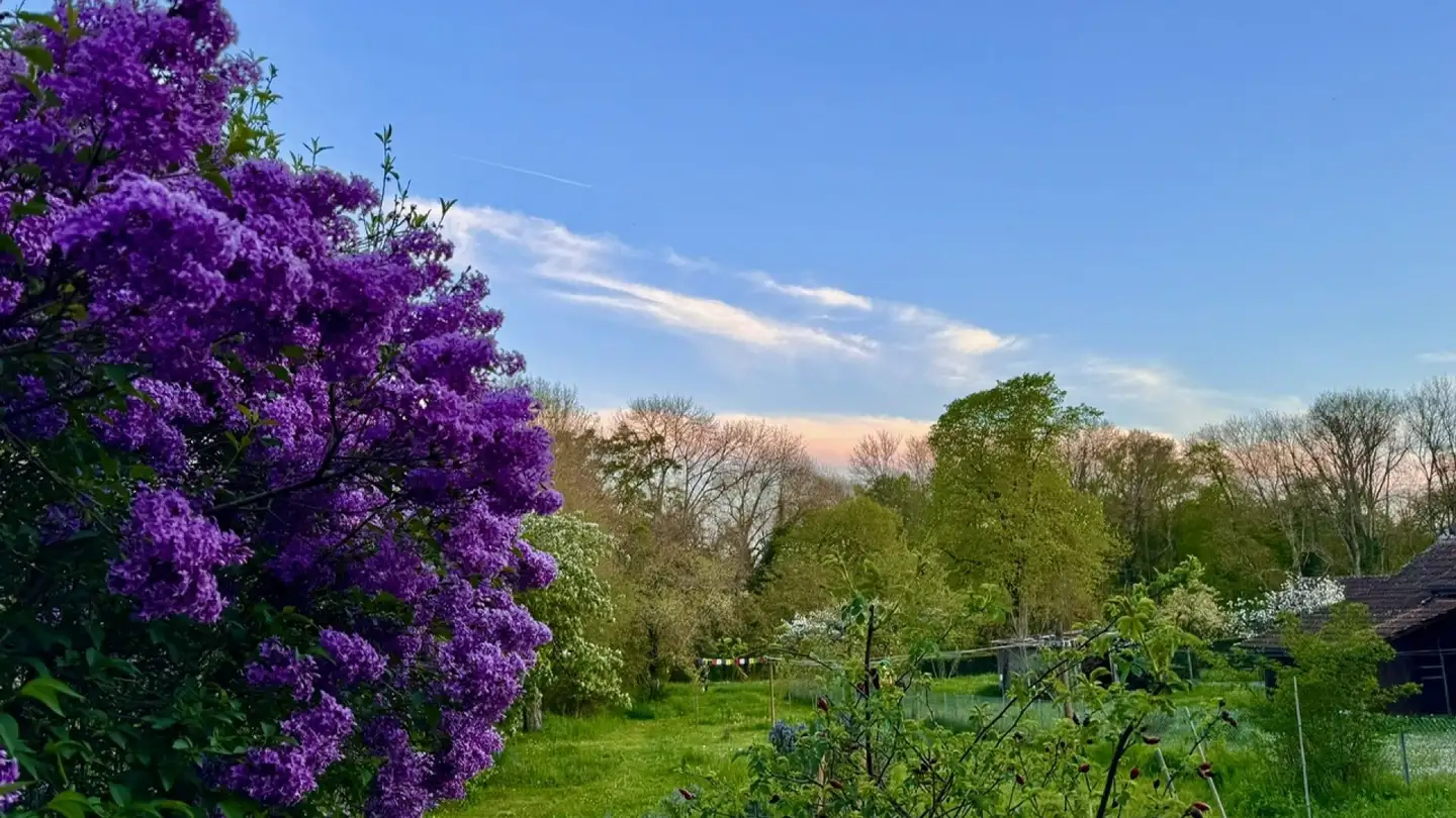 Appartement à vendre - 1247 Anières