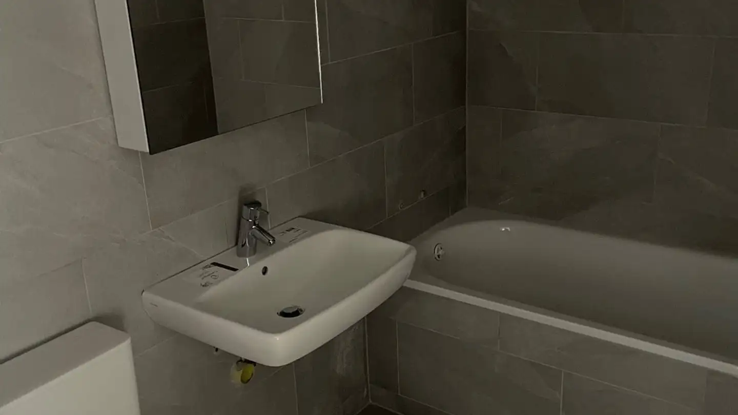 Appartement à louer - 8903 Birmensdorf ZH - Photo 2