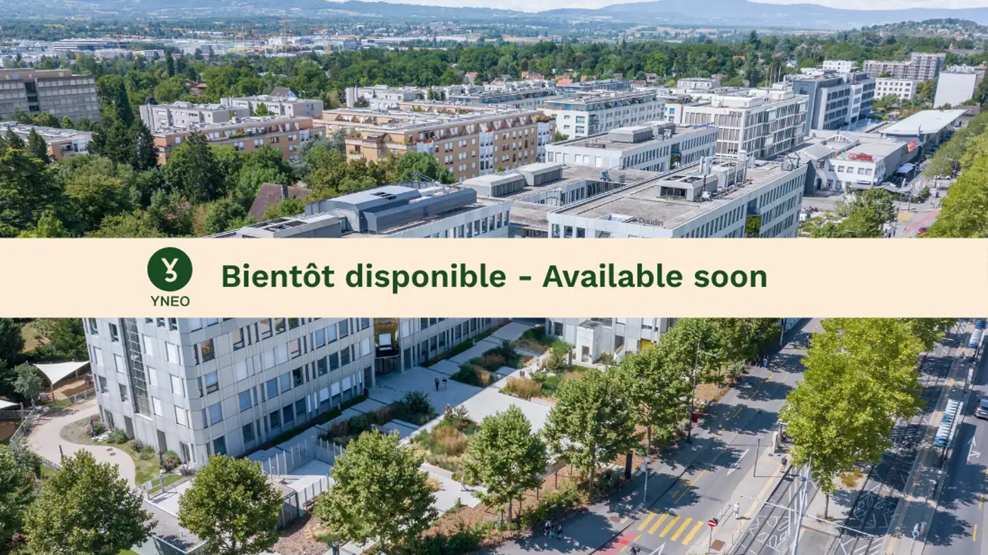 Bürofläche mieten - Route De Chancy 59, 1213 Petit-Lancy