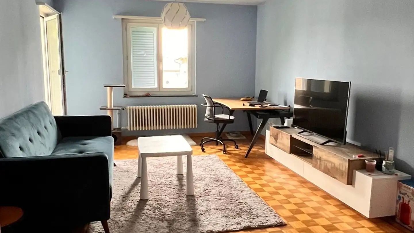 Appartement à louer - 8102 Oberengstringen