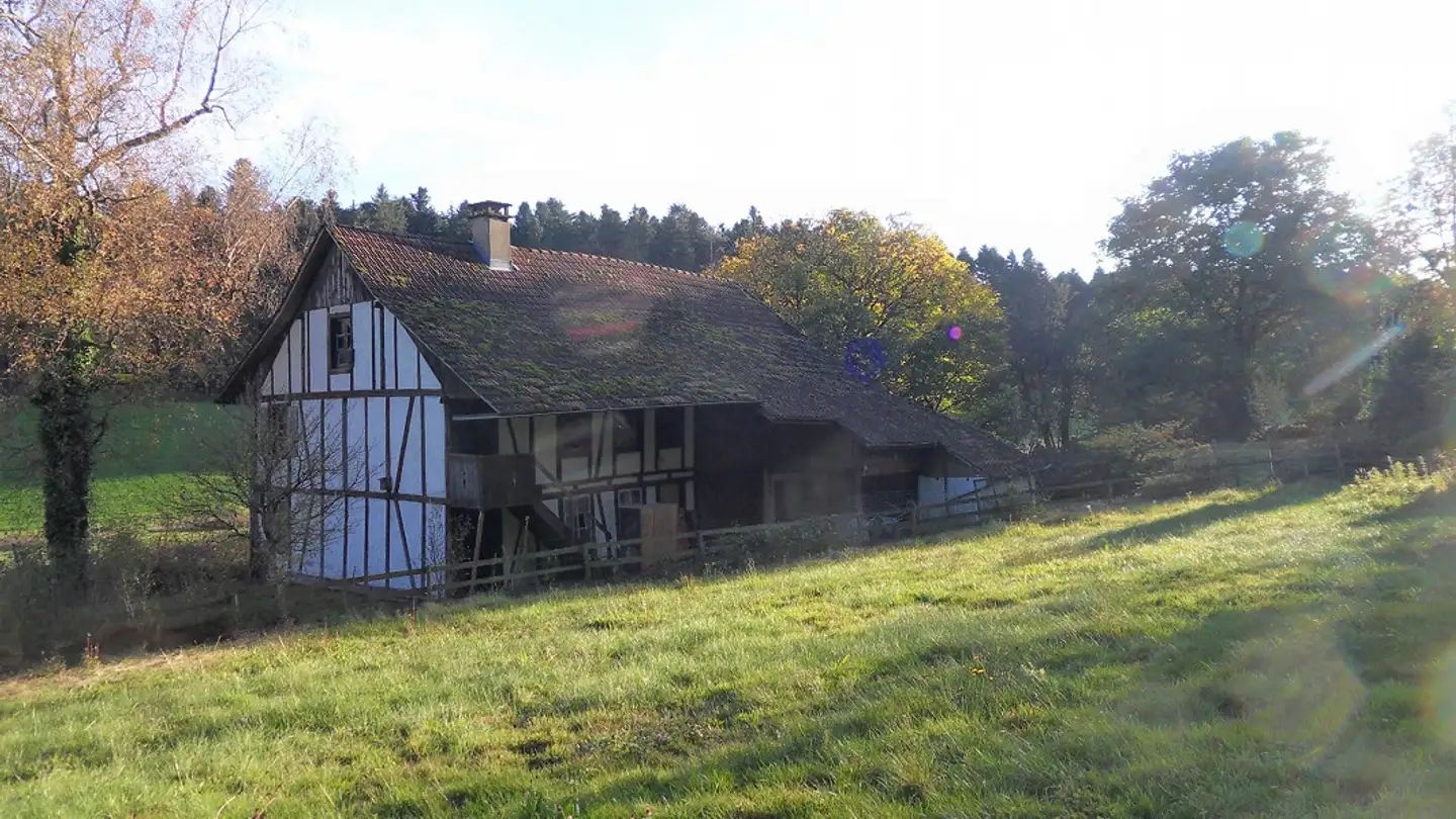 Fattoria in vendita - Langenthalerstrasse 54, 4803 Vordemwald - Photo 2