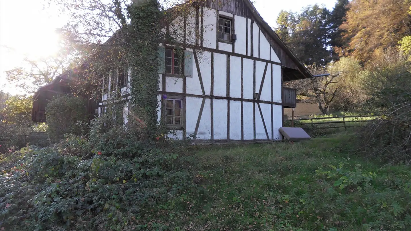 Fattoria in vendita - Langenthalerstrasse 54, 4803 Vordemwald - Photo 3