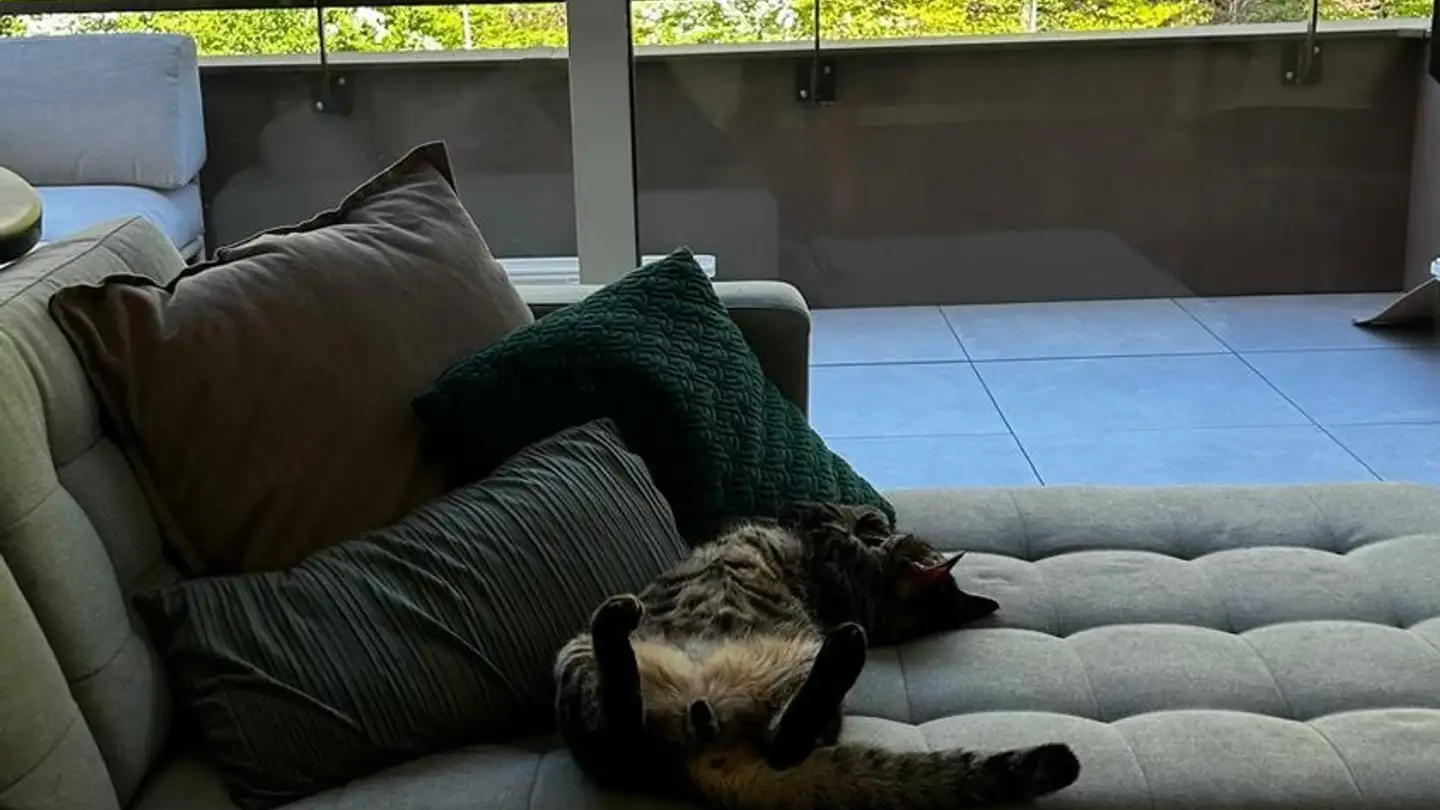 Appartement à louer - Route Du Pavement 79a, 1018 Lausanne - Photo 2