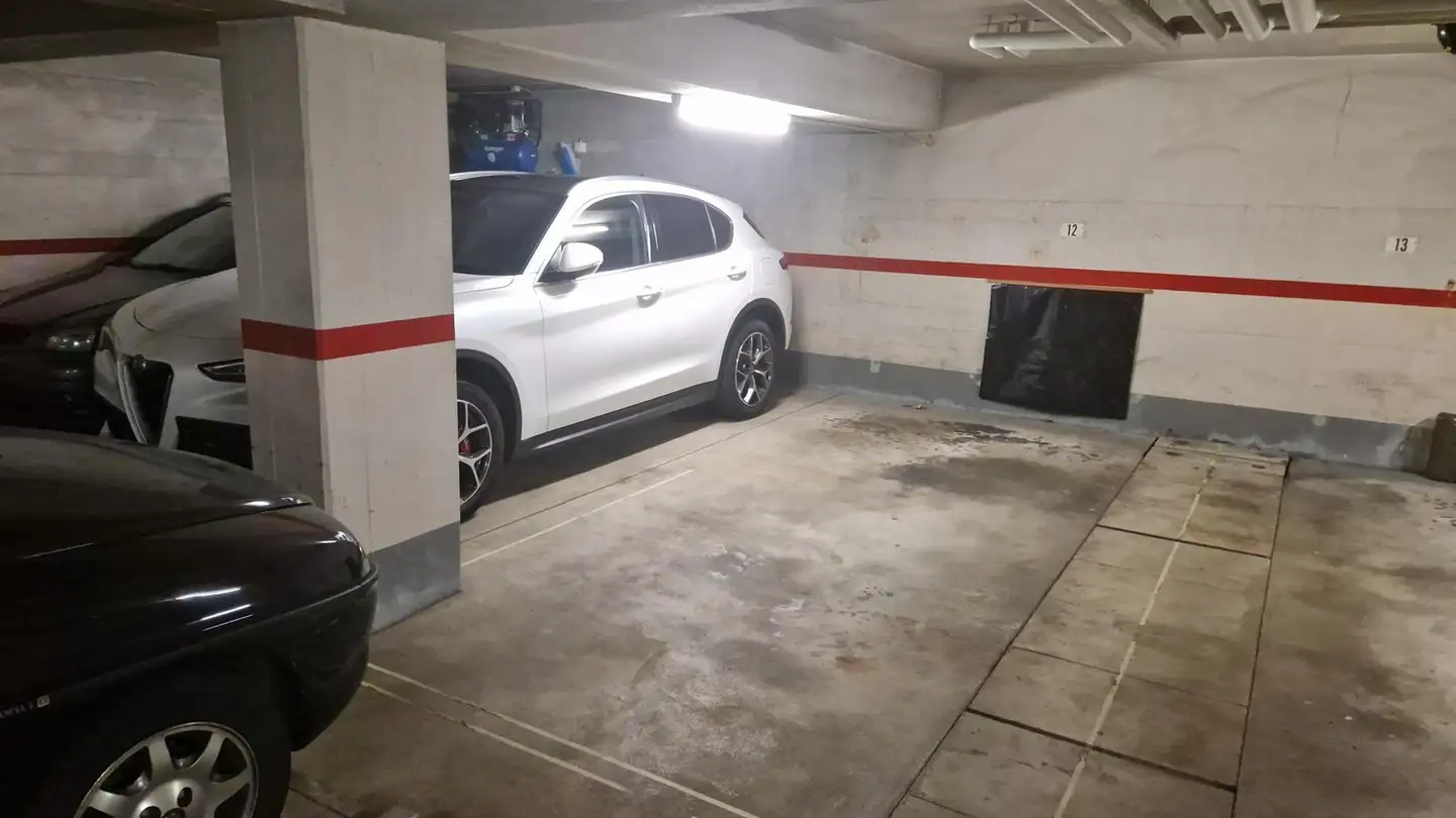 Garage singolo in affitto - Mimosenstrasse 11, 8057 Zürich - Foto 3