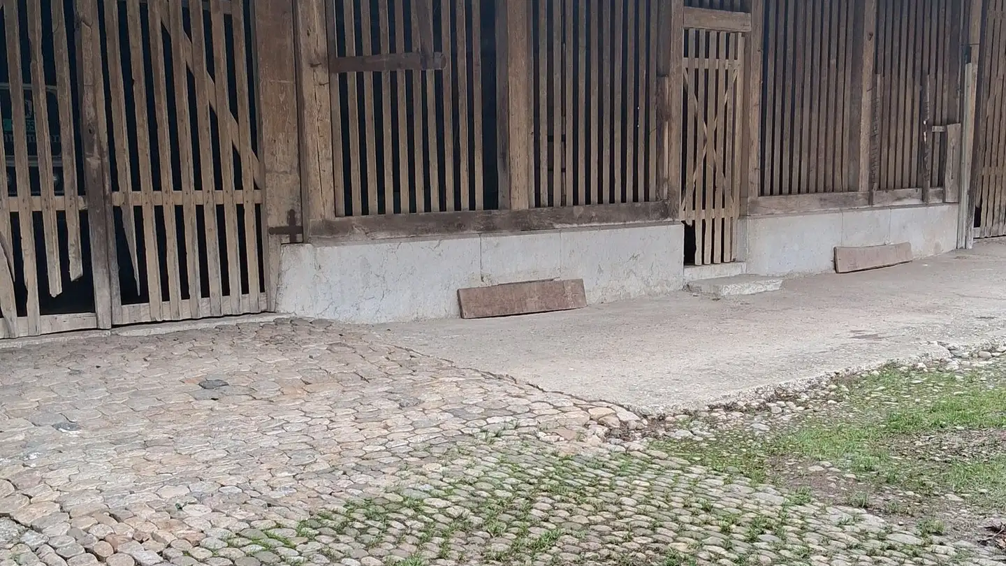 Terreno edificabile in vendita - Gäustrasse, 4703 Kestenholz - Photo 3