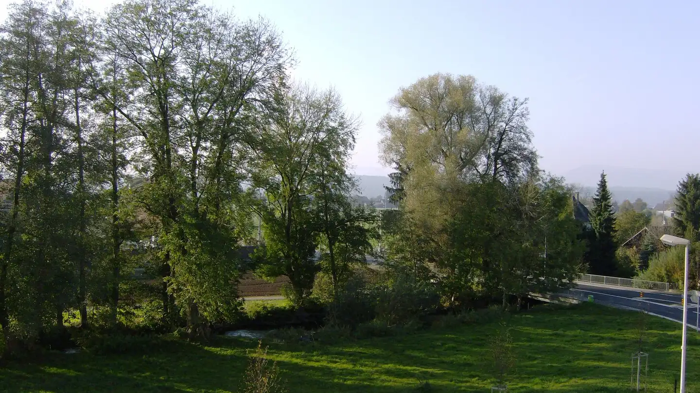 Appartamento in affitto - Hauptstrasse 63, 5037 Muhen - Foto 2