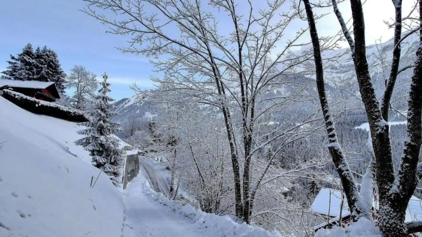 Constructible plot for sale - Route De Rumières 37, 1874 Champéry - Photo 4