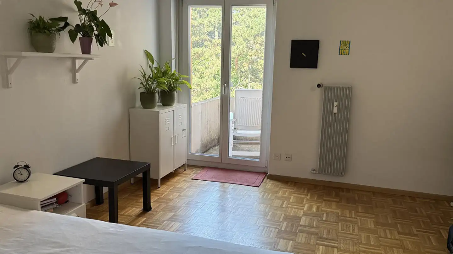 Furnished apartment for rent - 4054 Basel