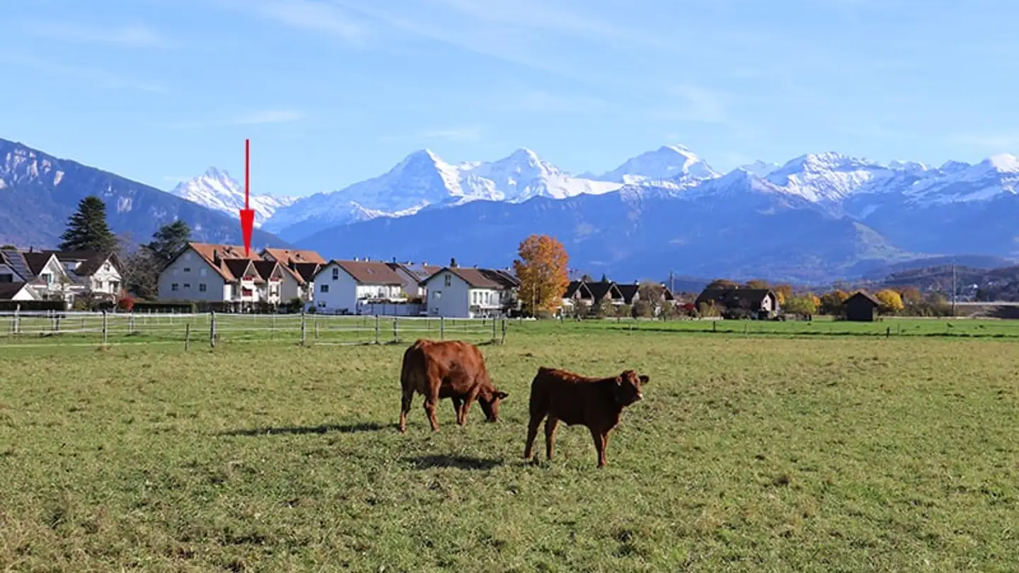 Appartement à vendre - Zuberweg 12, 3608 Thun