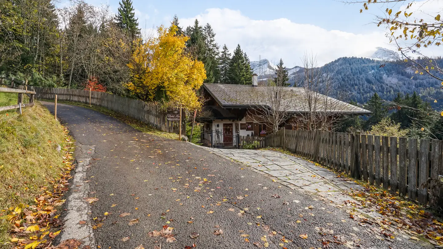 Chalet for sale - Chemin De La Traverse 38, 1882 Gryon