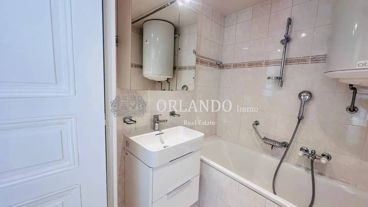 Appartamento in affitto - Rue Ancienne, 1227 Carouge GE - Foto 4