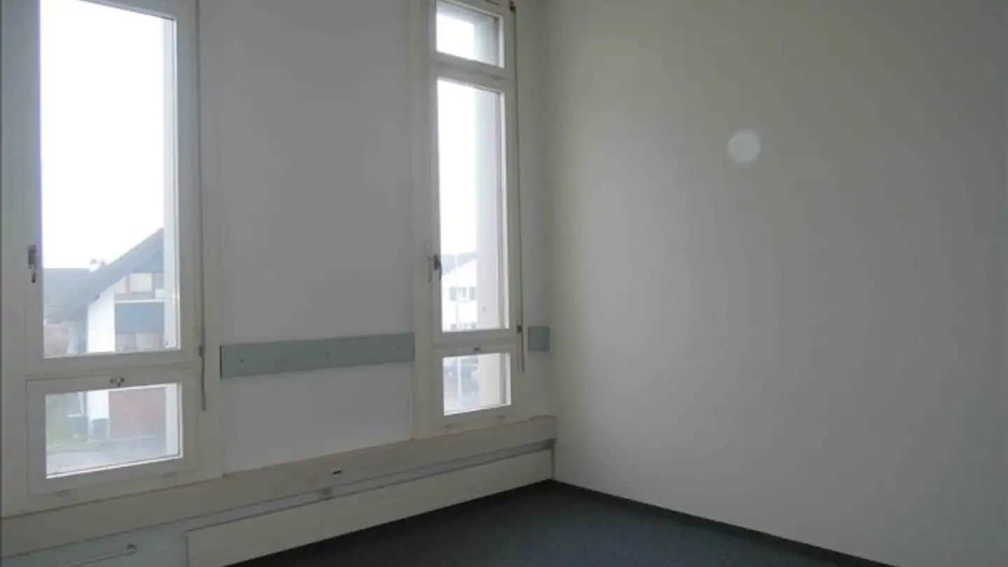 Mischgenutztes Gebäude mieten - Ländernachstrasse 9, 9435 Heerbrugg - Foto 3