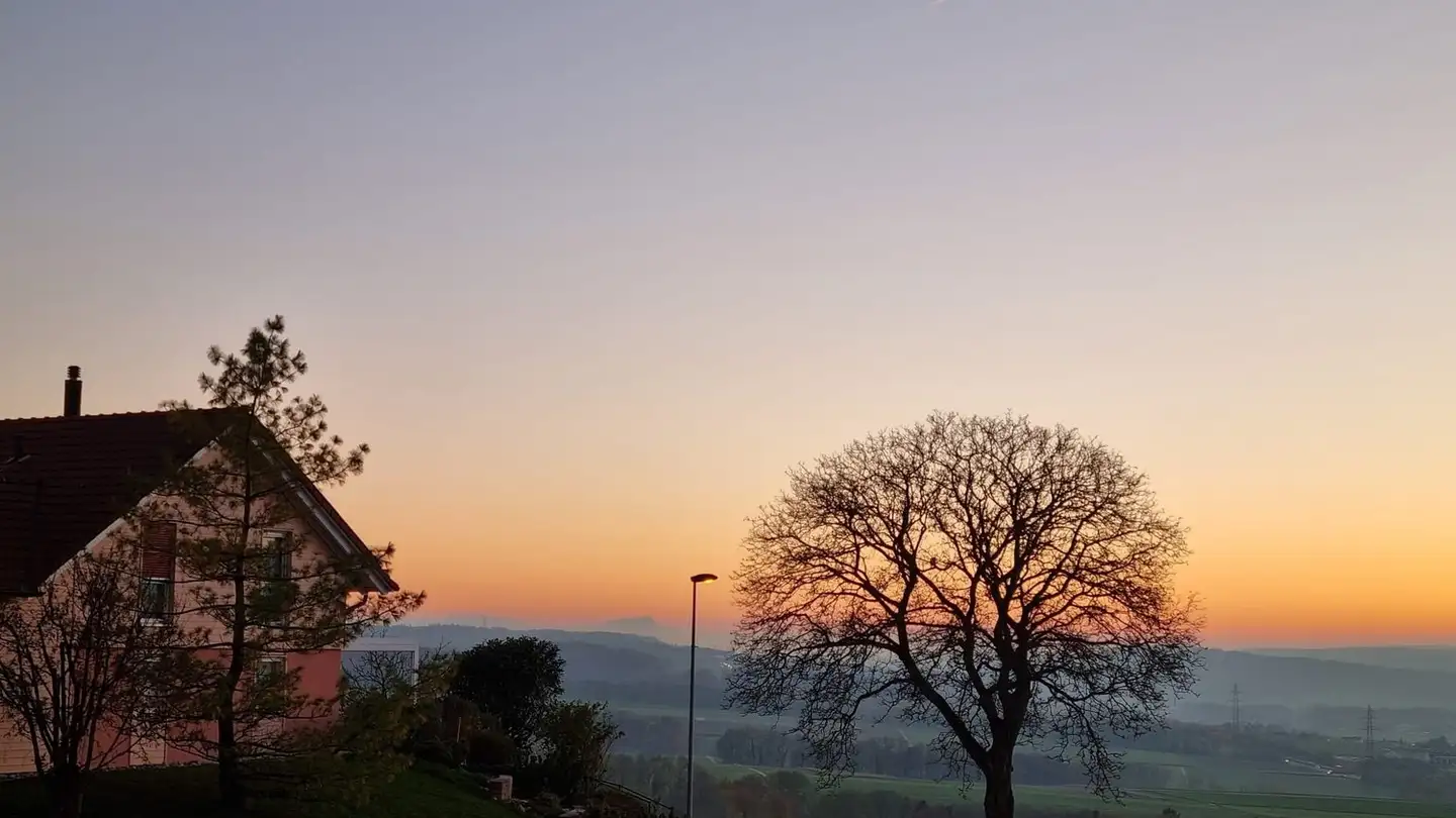 Apartment for rent - 1433 Suchy