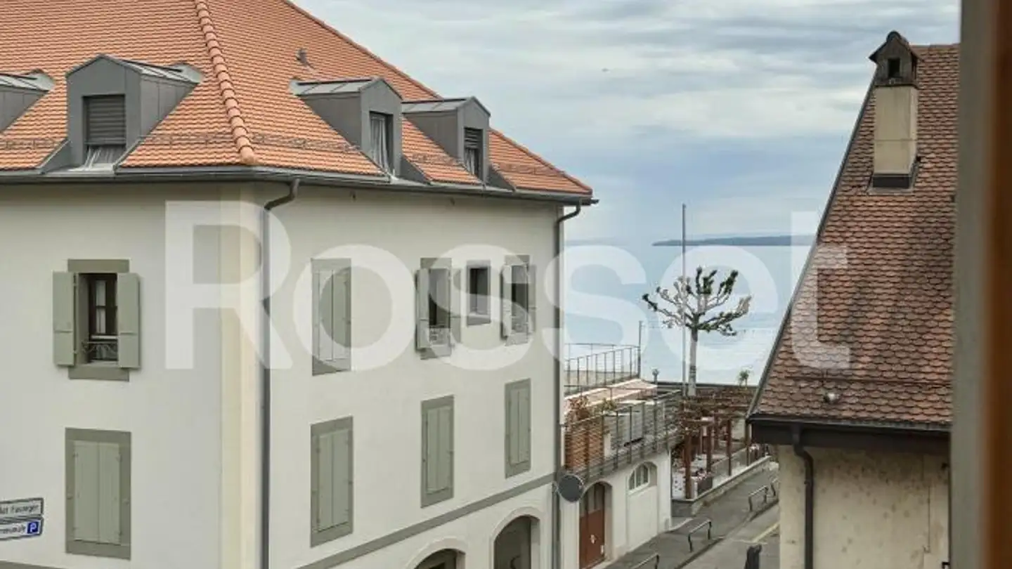 Appartamento in affitto - Rue Des Boucheries 20, 1290 Versoix - Foto 4