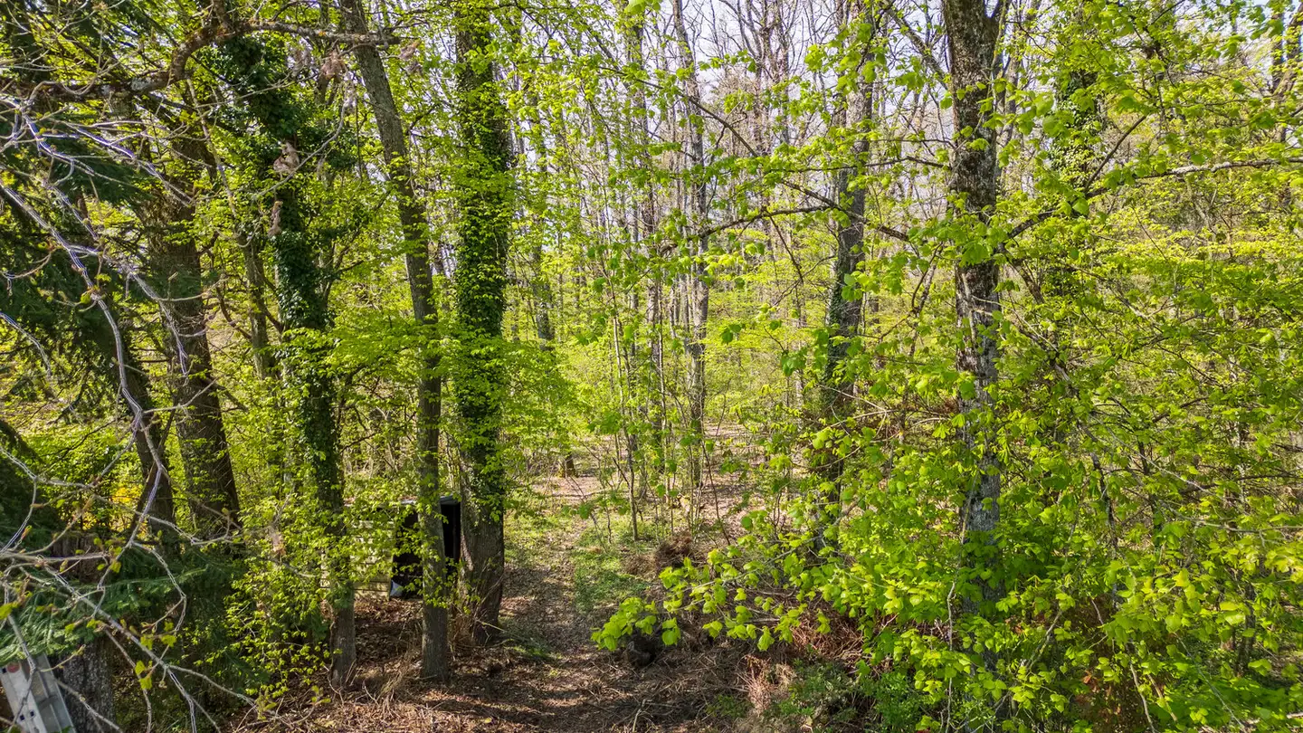 Mehrfamilienhaus kaufen - Chemin Du Calot 7, 1290 Versoix - Foto 3
