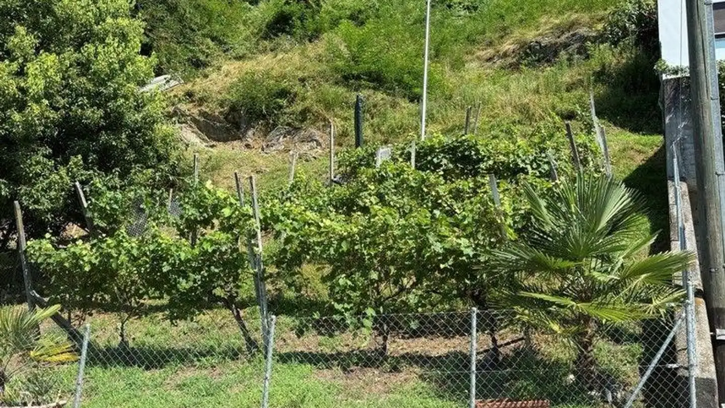 Casa singola in vendita - Via Mulini, 6596 Gordola - Foto 4
