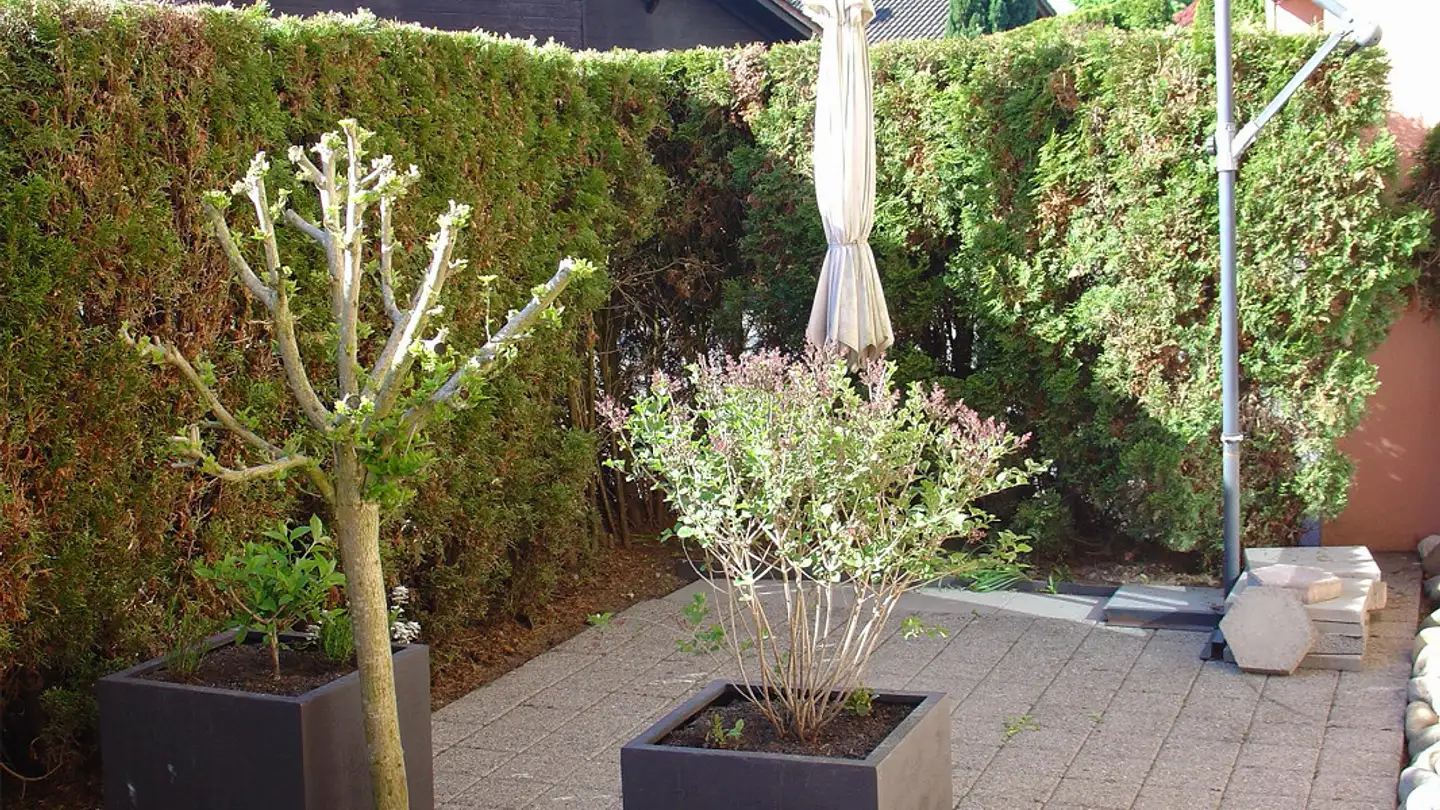 Apartment for rent - Alpenweg 11, 6403 Küssnacht am Rigi