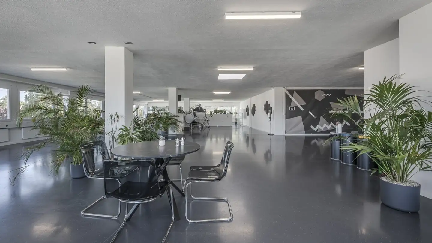 Commerciale in affitto - Riedwiesenstrasse, 8305 Dietlikon