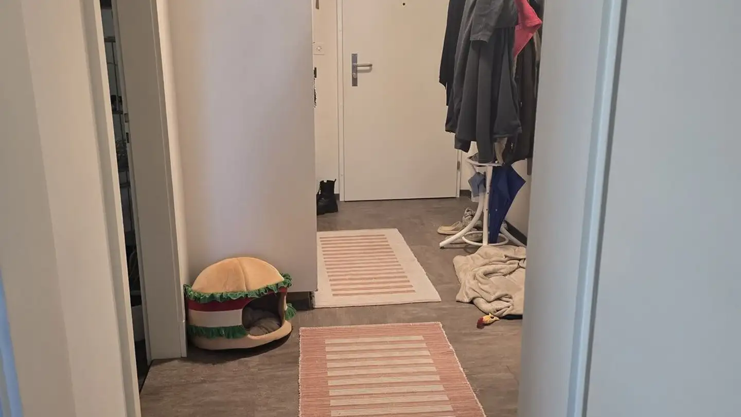 Wohnung mieten - Baumgartenweg 2, 8854 Siebnen