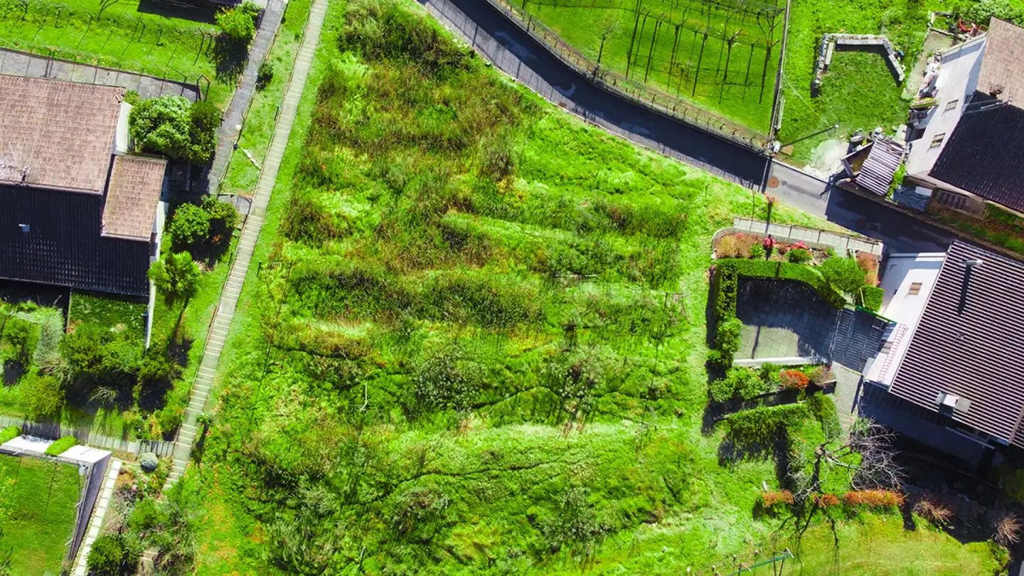 Terreno edificabile in vendita - Strada Ai Boschi, 6991 Neggio - Photo 4