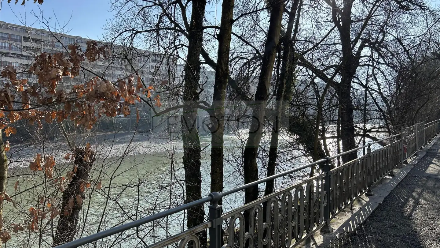 Wohnung kaufen - 1227 Carouge GE