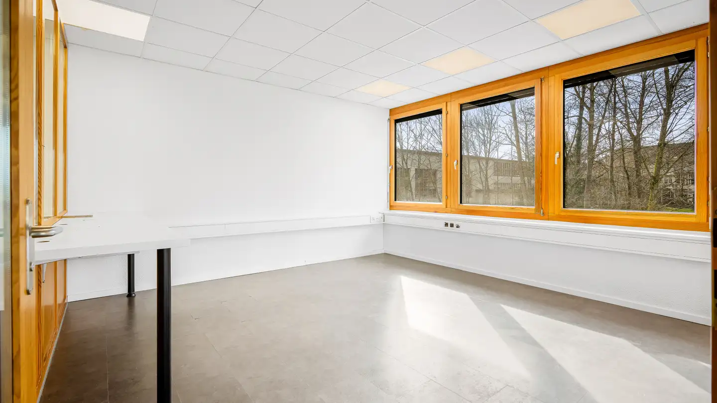 Mischgenutztes Gebäude mieten - Rue Peillonnex 36, 1225 Chêne-Bourg