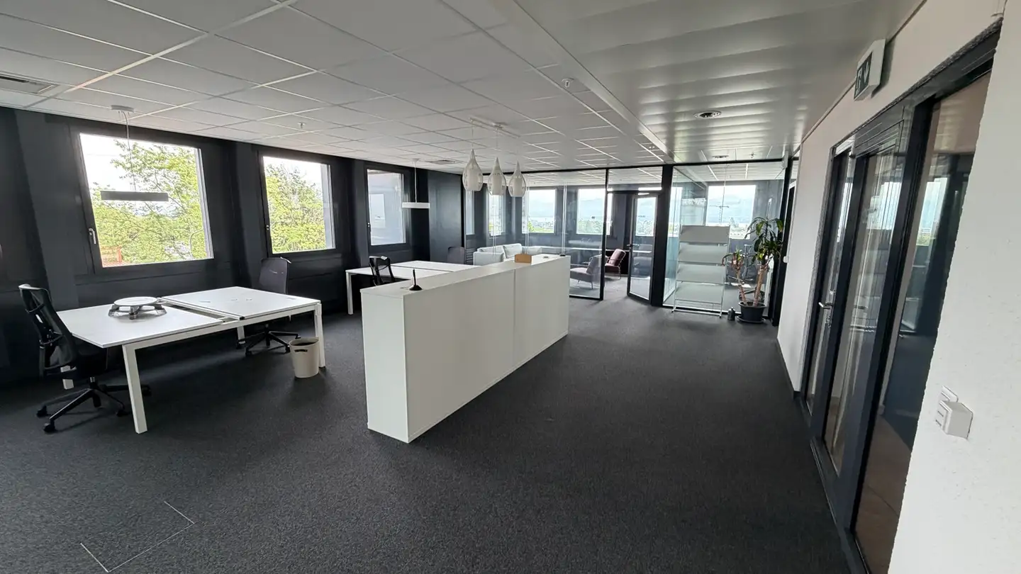 Spazio ufficio in affitto - Chemin De La Vuarpillière 29, 1260 Nyon