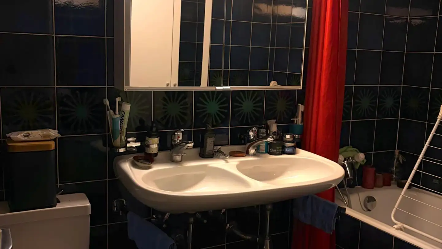 Single room for rent - 1208 Genève - Photo 3