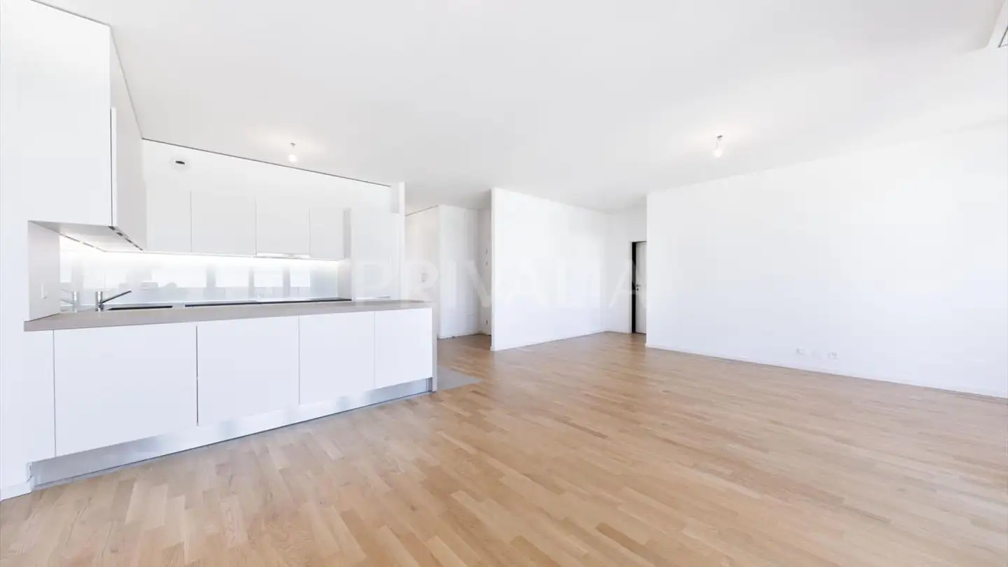 Attico in affitto - 1022 Chavannes-près-Renens - Photo 3