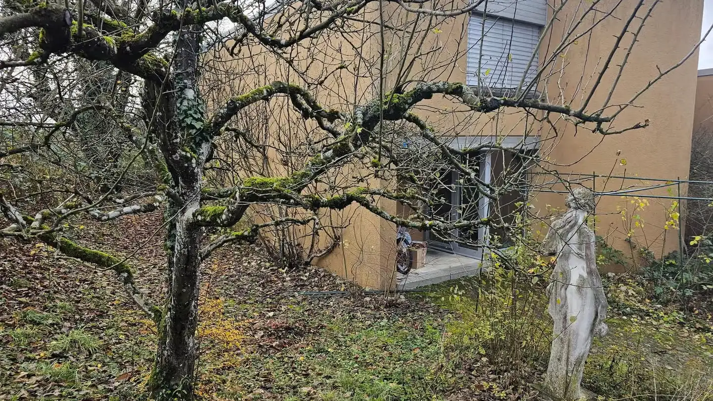 Doppelhaushälfte kaufen - Quellenweg 2, 8217 Wilchingen - Foto 4