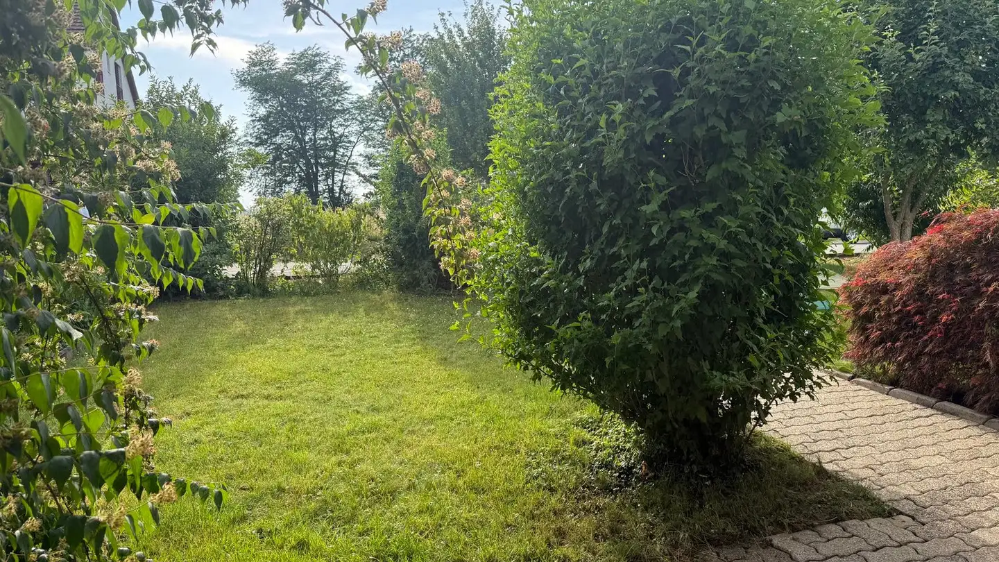 Maison en terrasse à vendre - 4106 Therwil - Photo 2