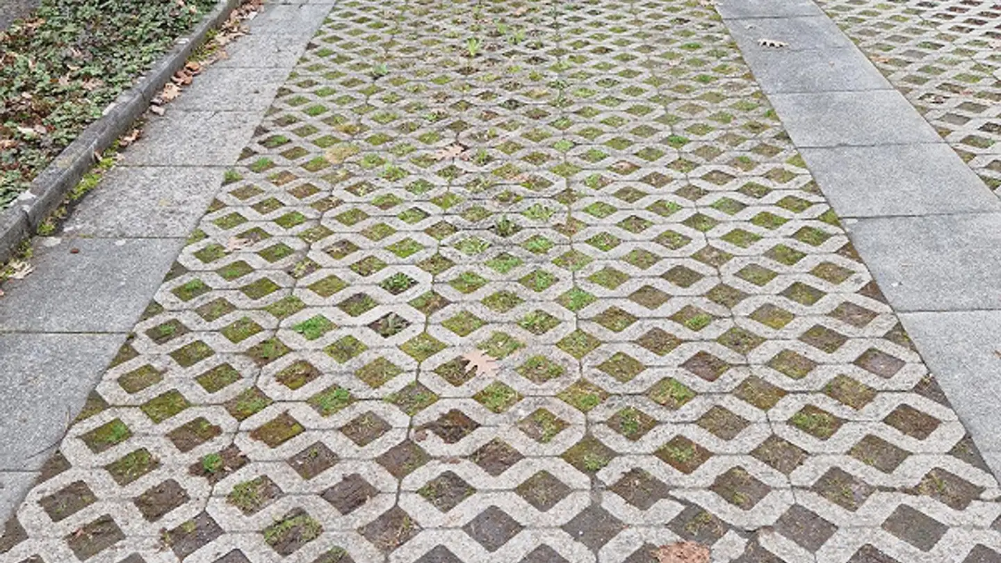 Parkplatz im Freien mieten - Blickensdorferstrasse 26, 6312 Steinhausen