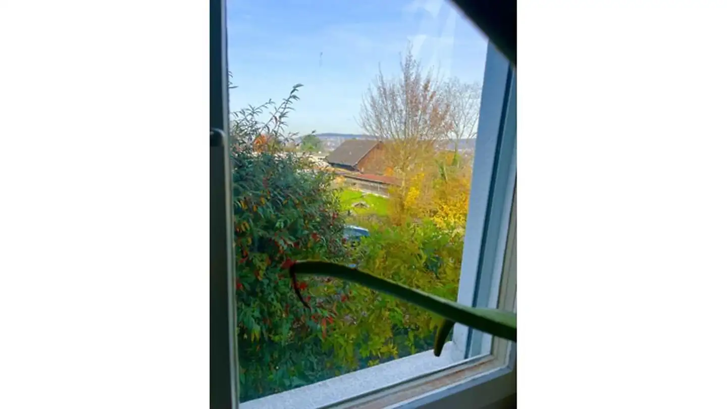 Möblierte Wohnung mieten - 8038 Zürich - Foto 4