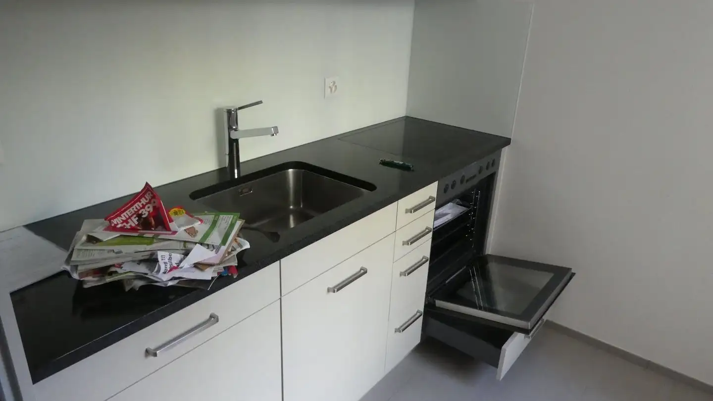 Apartment for rent - Brühlbergstrasse 93, 8400 Winterthur - Photo 4