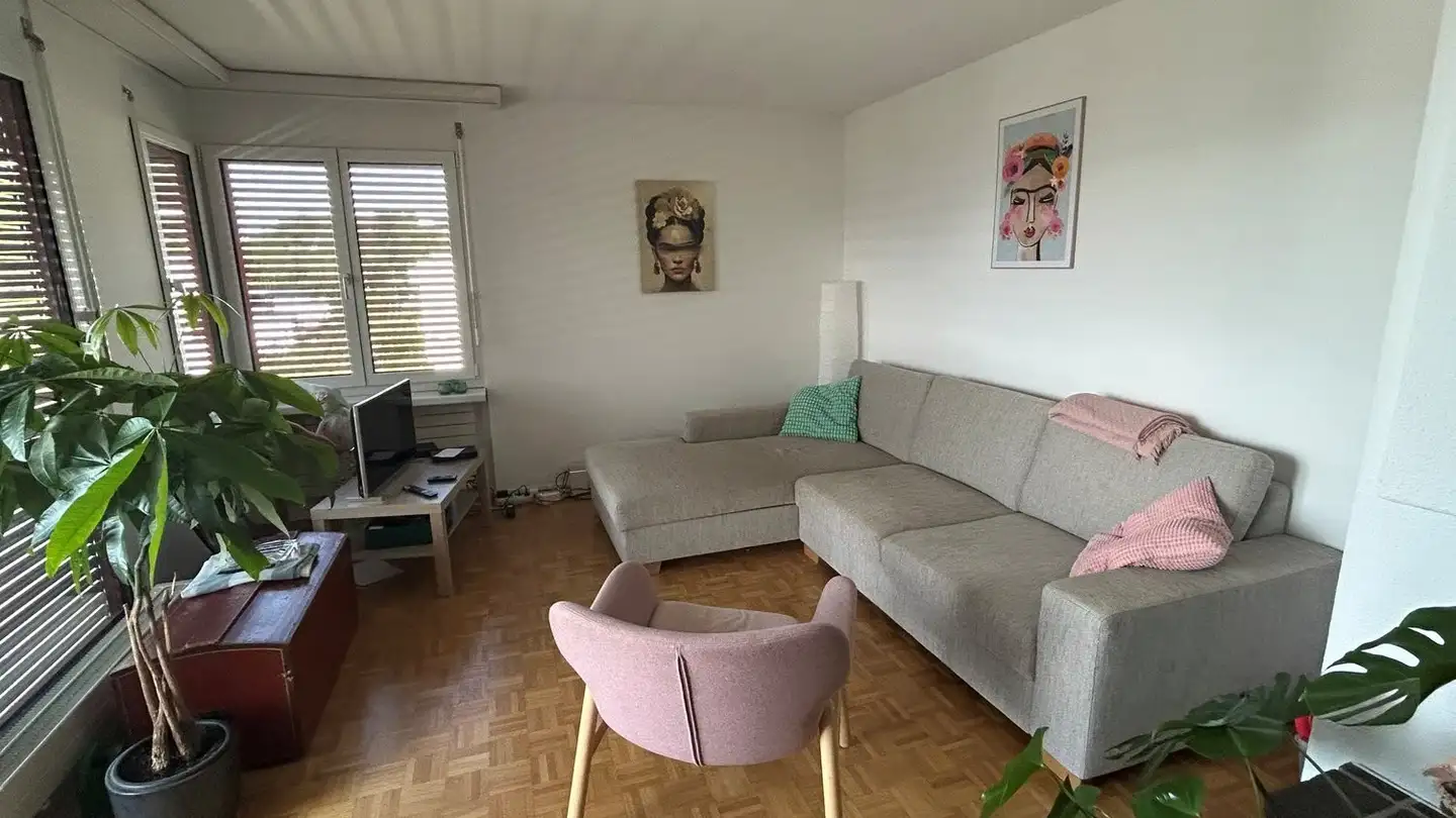 Apartment for rent - Obere Schöneggstrasse 4, 8707 Uetikon am See - Photo 4