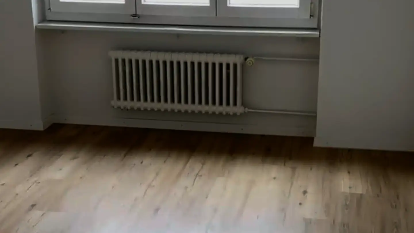 Apartment for rent - 4806 Wikon - Photo 2