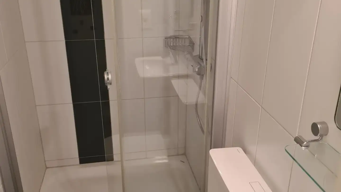 Appartamento in affitto - Haslenstrasse 15, 8903 Birmensdorf ZH - Foto 3
