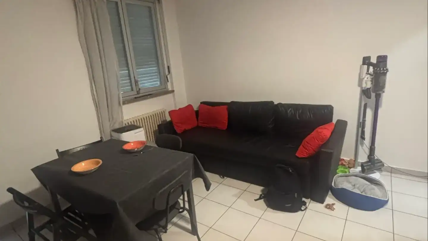 Appartamento in affitto - Via Campione 58, 6816 Bissone - Foto 2