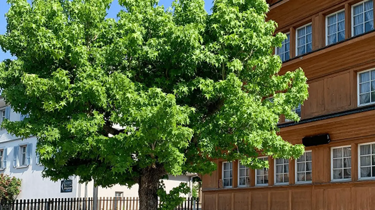 Apartment for rent - Rätenbergstrasse 2, 9533 Kirchberg SG - Photo 4