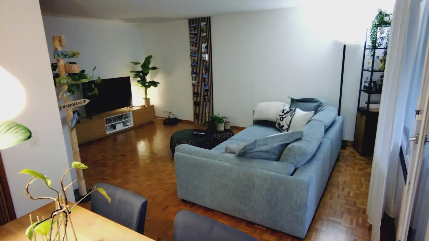 Apartment for rent - 8405 Winterthur