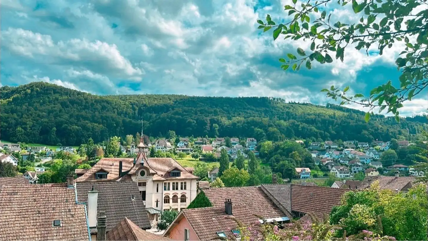 Stanza singola in affitto - Baselstrasse 13, 4203 Grellingen - Photo 2