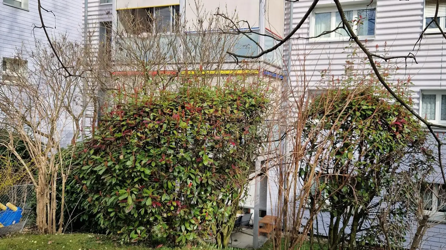Appartamento in affitto - Chemin D'entre-Bois 53, 1018 Lausanne