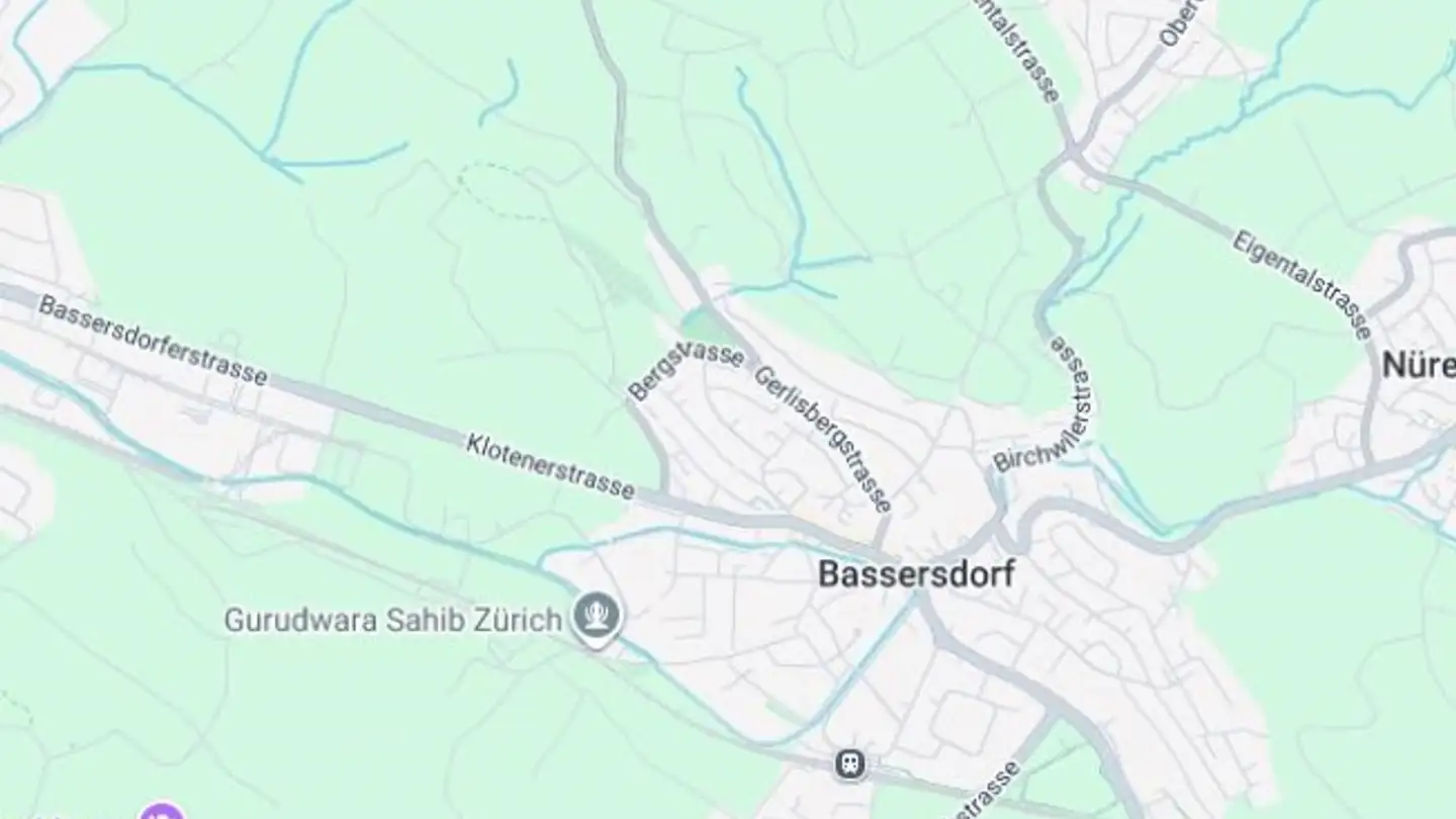 Einfamilienhaus kaufen - 8303 Bassersdorf
