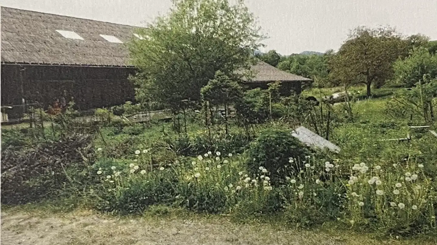 Einfamilienhaus kaufen - Hüeblistrasse 107, 8636 Wald ZH - Foto 2