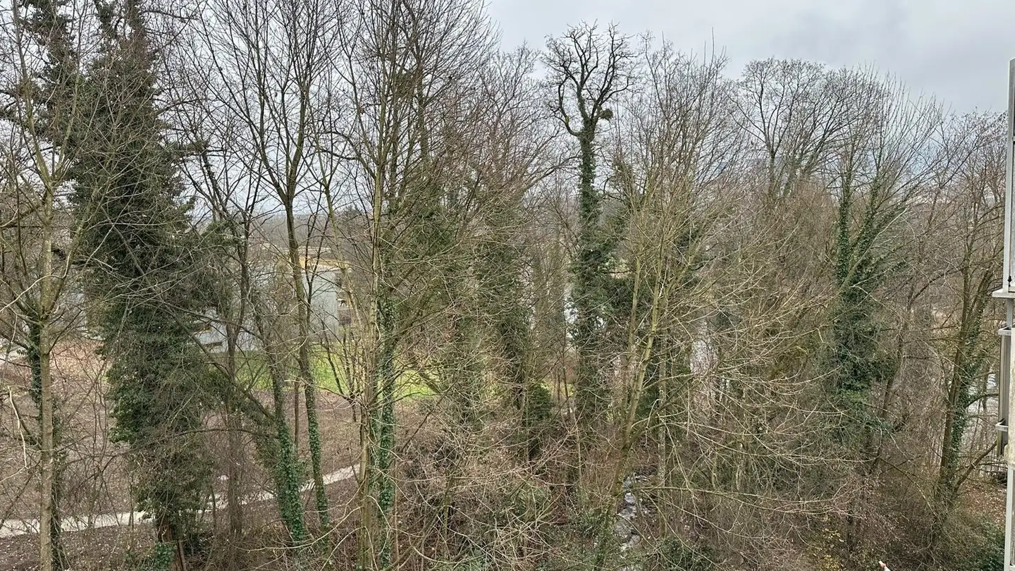 Chambre à louer - 8049 Zürich - Photo 2