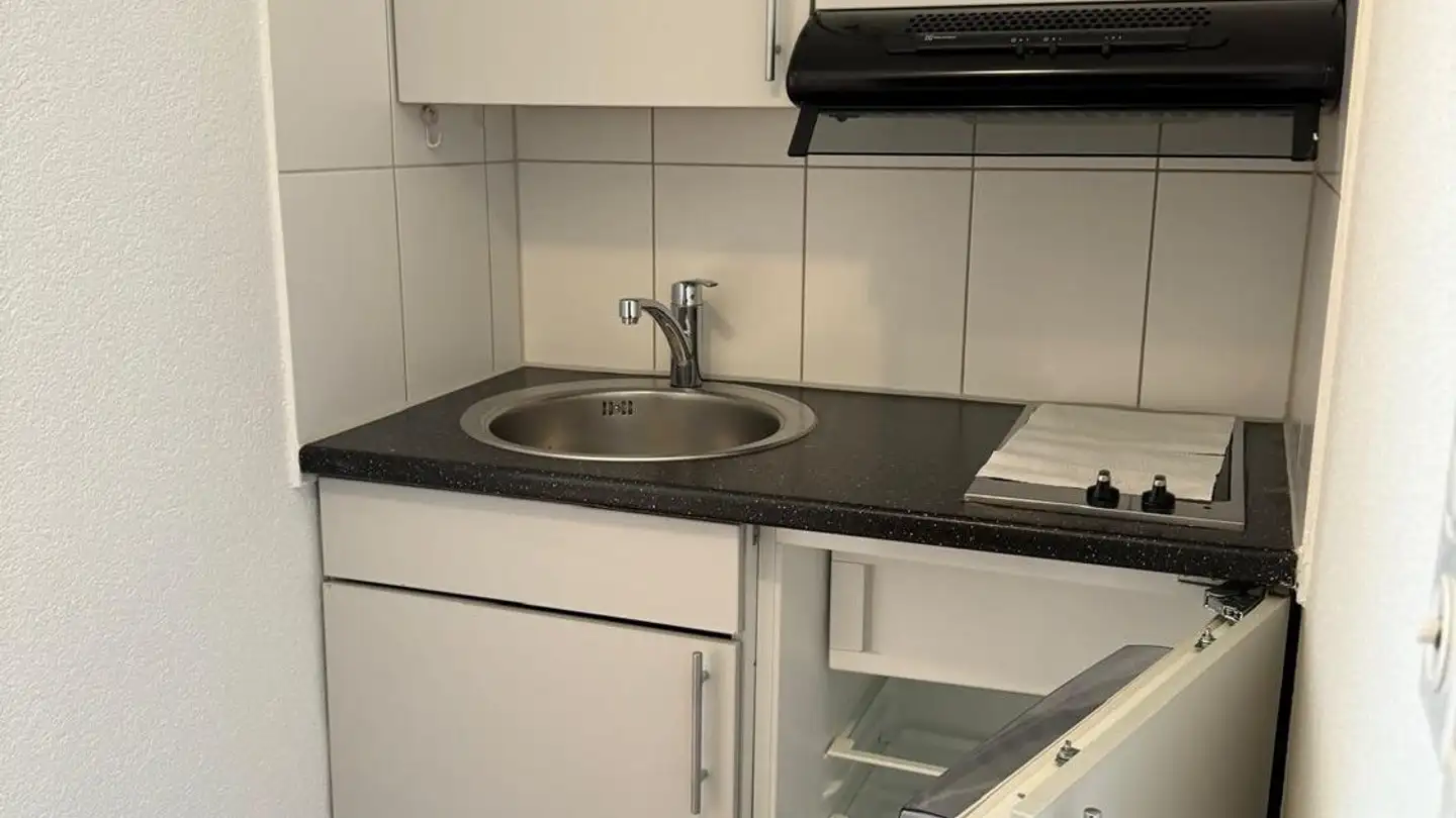 Apartment for rent - Unterfeldstrasse 4, 8050 Zürich - Photo 4
