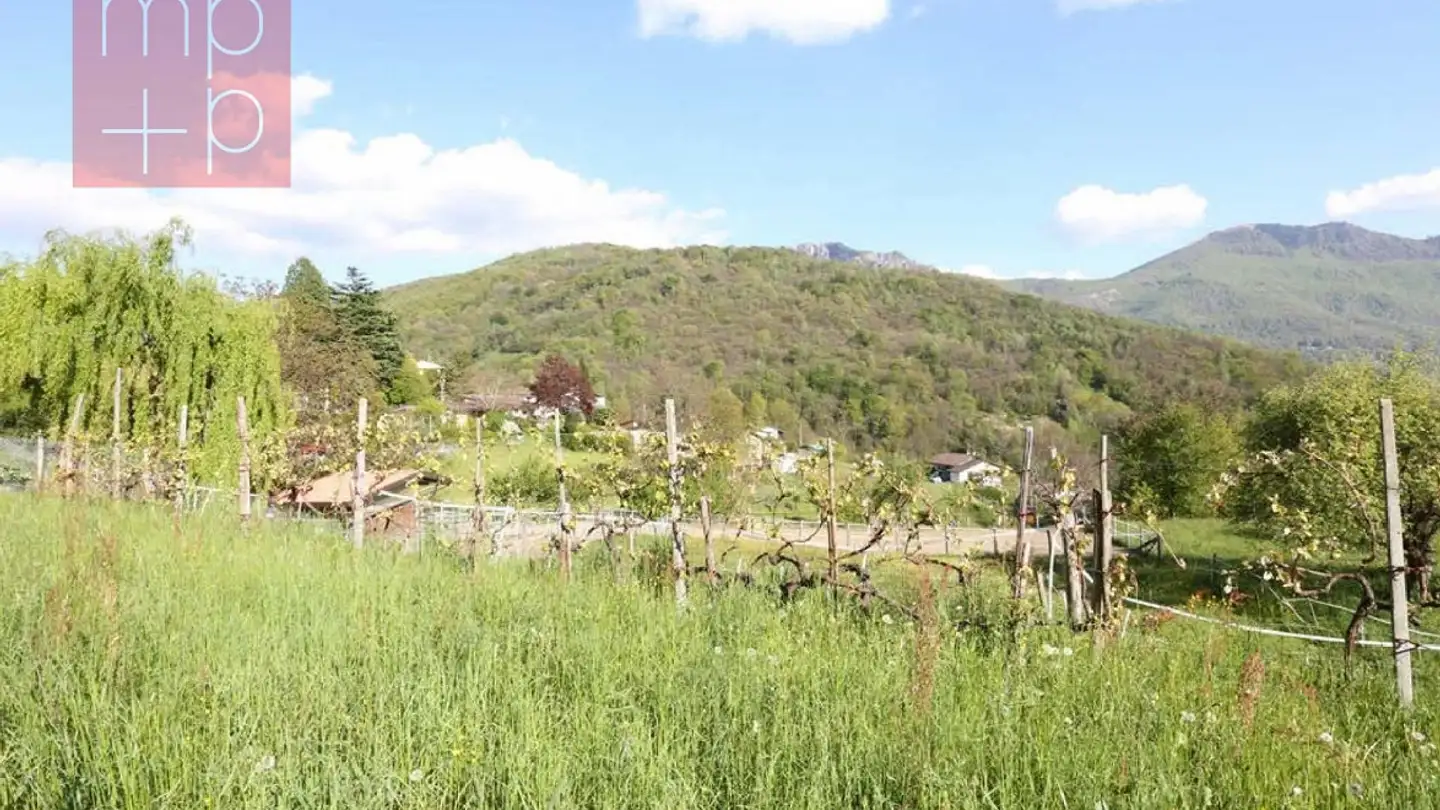 Constructible plot for sale - 6956 Lopagno - Photo 2