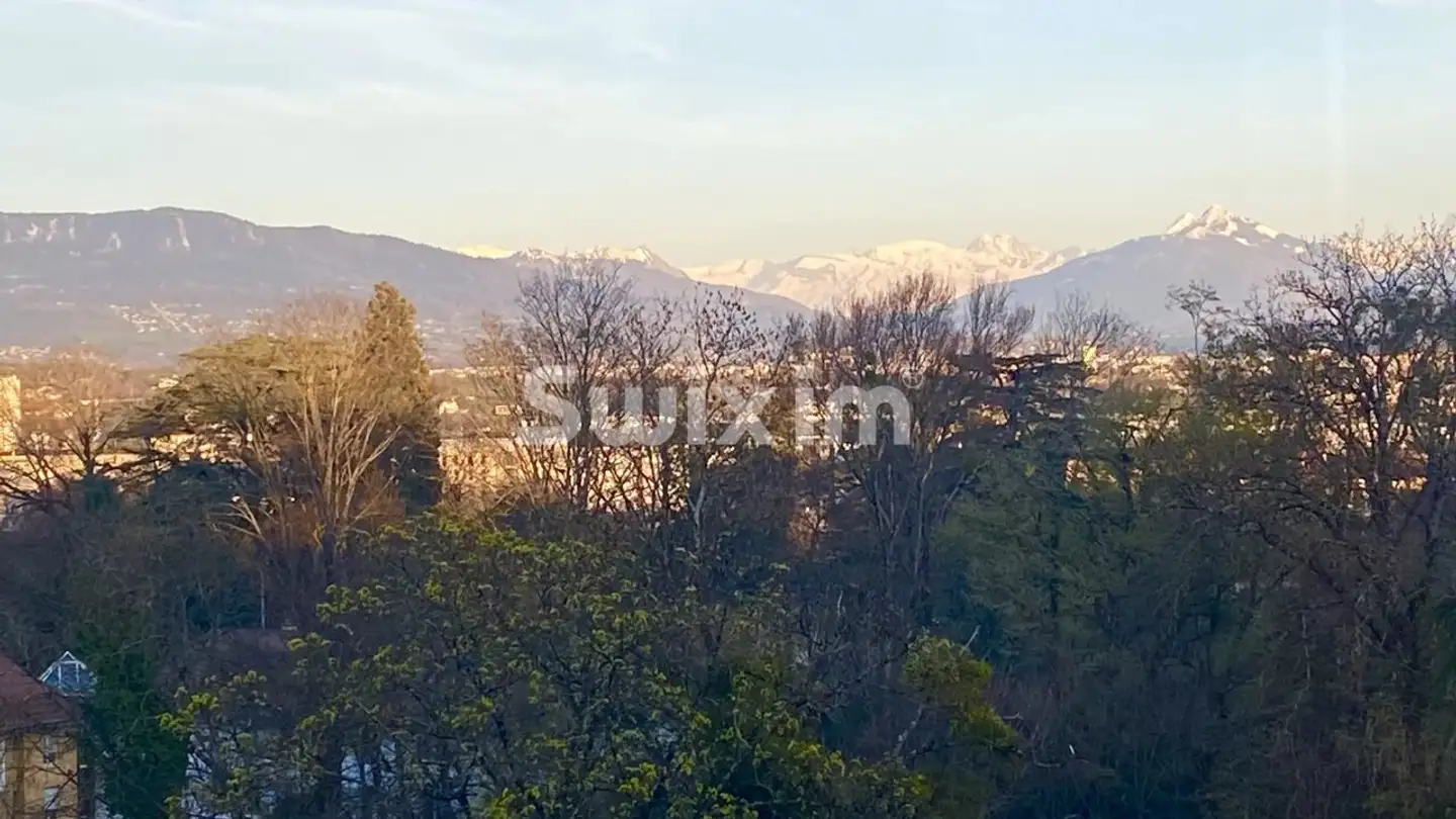 Appartement à vendre - Chemin Du Petit-Saconnex, 1209 Genève - Photo 2