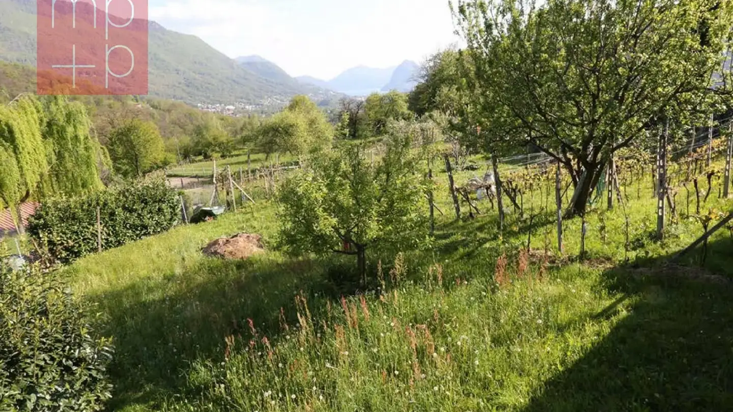 Constructible plot for sale - 6956 Lopagno - Photo 3